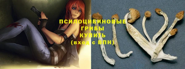 индика Аркадак