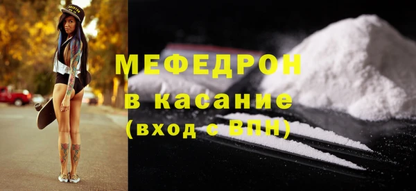 индика Аркадак