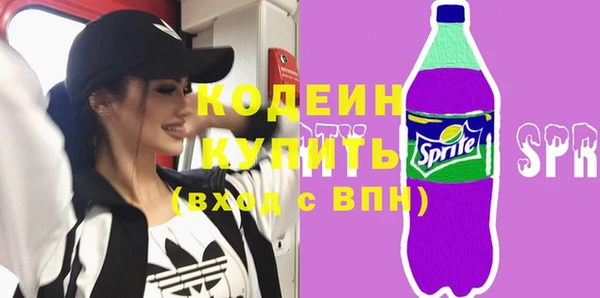 соль ск Арсеньев