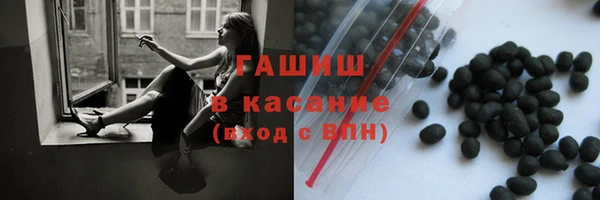 индика Аркадак