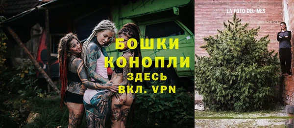 индика Аркадак