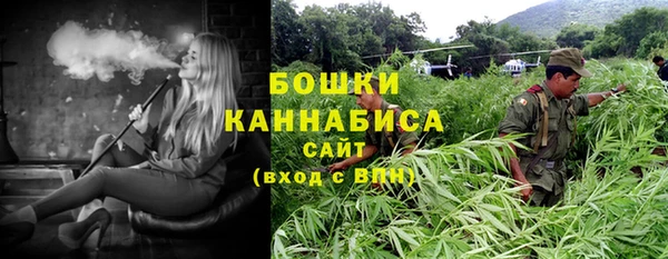 индика Аркадак