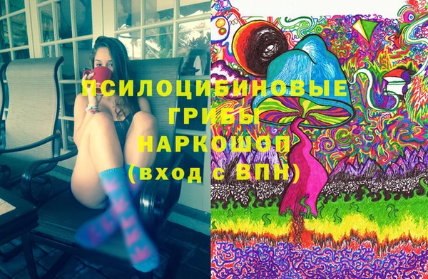 соль ск Арсеньев
