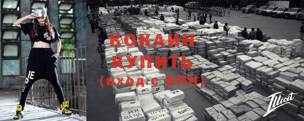 индика Аркадак