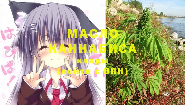 индика Аркадак