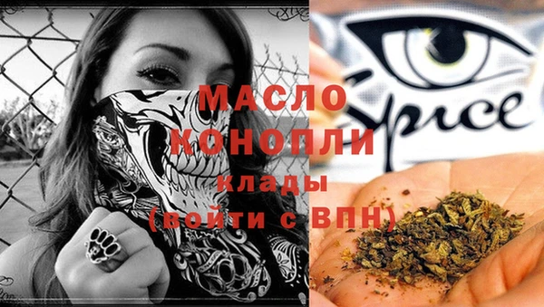 индика Аркадак