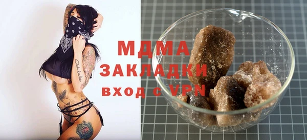 индика Аркадак