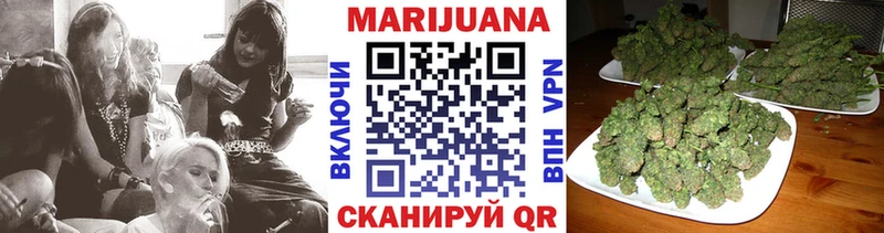 Купить закладки  Агрыз  Шишки марихуана White Widow 